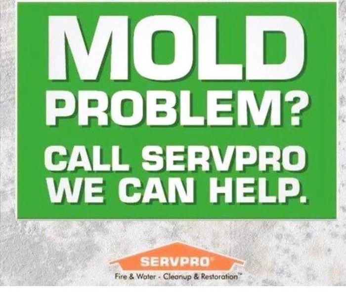 mold clean up advertisement for SERVPRO