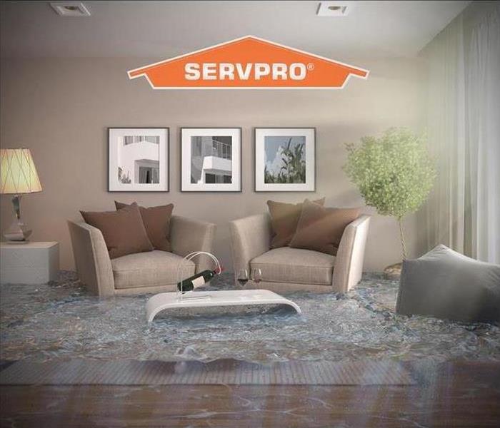 SERVPRO - image of flooded living room