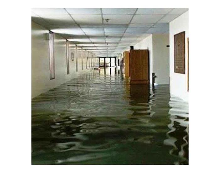 An office with puddles forming on the carpeted ground.