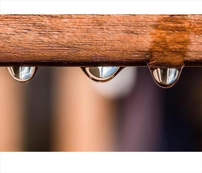 Condensation dripping from wood.